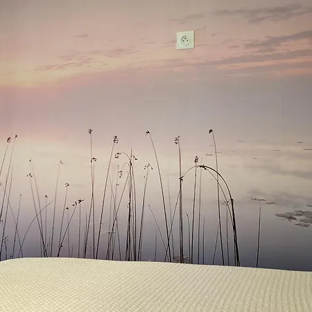 Cocon D'azur Apartament Cannes