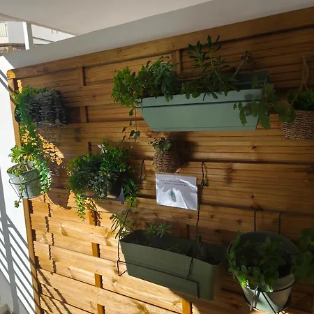 Cocon D'azur * 칸느