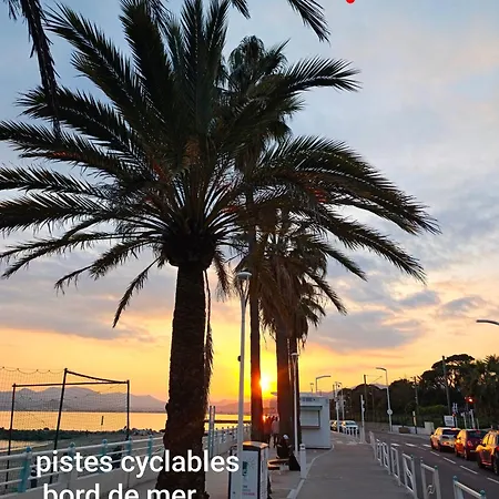 Cocon D'azur 公寓
